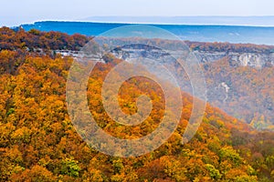 Beautiful autumn orange forest, mountain landscape in the fog on