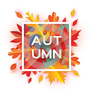 Beautiful Autumn paper cut leaves. Hello Autumn. September flyer template. Square frame. Space for text. Origami Foliage