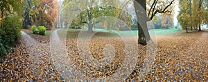 Beautiful autumn park. Autumn trees and leaves. Autumn Landscape. panorama of a stunning forest scenery in autumn.