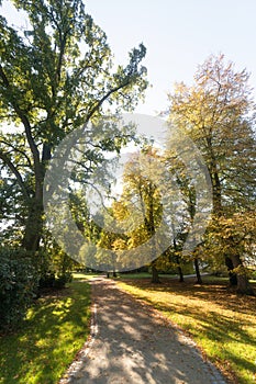 Beautiful autumn park. Autumn trees and leaves. Autumn Landscape. panorama of a stunning forest scenery in autumn.