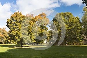 Beautiful autumn park. Autumn trees and leaves. Autumn Landscape. panorama of a stunning forest scenery in autumn.