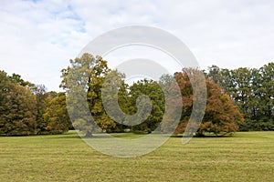 Beautiful autumn park. Autumn trees and leaves. Autumn Landscape. panorama of a stunning forest scenery in autumn.