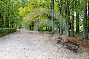 Beautiful autumn park. Autumn trees and leaves. Autumn Landscape. panorama of a stunning forest scenery in autumn.