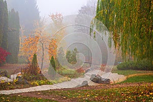 Beautiful autumn park with colorful red and yellow trees in morning mist