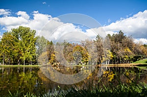 Beautiful autumn park with colorful trees and leaves