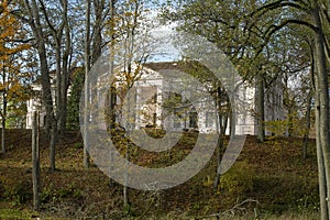 Beautiful autumn park with fall color foliage bright autumn day . Latvia. Autumn park trees and fallen lush autumn