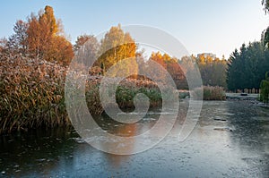 Beautiful autumn park at frosty morning. Yellowed trees reflected in the frozen water