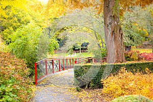 Beautiful autumn park on the grounds of Leeds castke