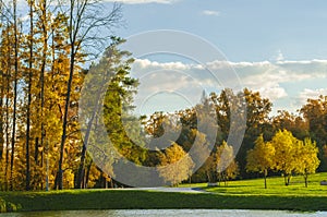 Beautiful autumn park meadow