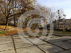 Beautiful autumn park in a suburb of St. Petersburg. Oak alley