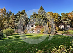 Beautiful autumn park with tall pines and fall color foliage