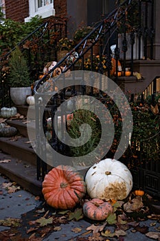 Beautiful Autumn Pumpkin Display on the Stairs to the Entrance of an Old Brownstone Home in Greenwich Village