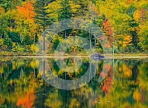 Beautiful autumn reflections in Acadia National Park, Maine,