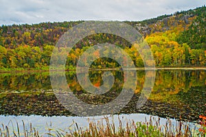 Beautiful autumn reflections in Acadia National Park, Maine,