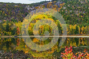 Beautiful autumn reflections in Acadia National Park, Maine,
