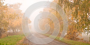 Beautiful autumn road in the fog