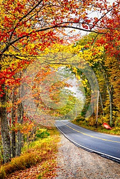 Beautiful autumn road winding through fall foliage in New England