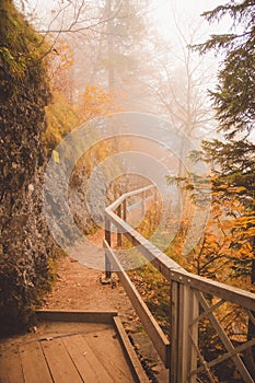 Beautiful autumn romantic alley in a forest with a bridge