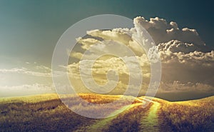 Beautiful Autumn rural landscape Panorama of autumn golden field with dirt road and cloudy sky