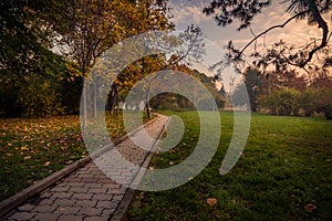 Beautiful autumn scene in the morning in the park on an alley