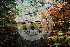 Beautiful autumn scenery in Hailuogou glaciers park