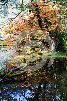 Beautiful autumn scenery in Hailuogou glaciers park