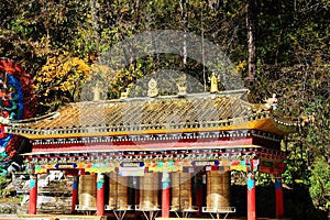 Beautiful autumn scenery in Hailuogou glaciers park