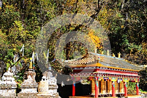 Beautiful autumn scenery in Hailuogou glaciers park