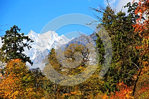 Beautiful autumn scenery in Hailuogou glaciers park