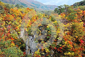 Beautiful autumn scenery of Naruko Gorge Valley with colorful foliage