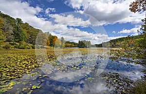 Beautiful autumn scenery in North Carolina.