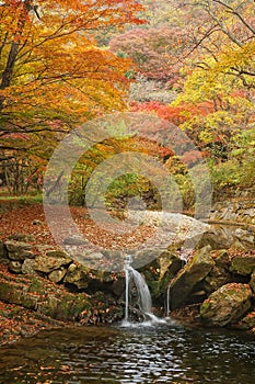 Beautiful autumn scenery with waterfall in forest.