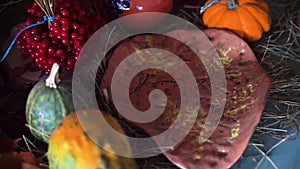 Beautiful autumn still life decoration details with flowers and pumpkins, fall harvest arrangement