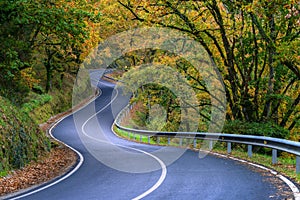 Beautiful autumn stretch of curves on a rural road between deciduous forests