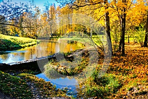 Beautiful autumn sunny landscape in Pavlovsk park with the old dam on Slavyanka river and trees with red and orange