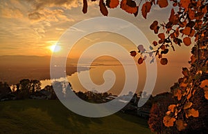 Beautiful autumn sunset with red leaves over the Bodensee Constance Lake