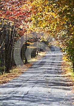 Beautiful autumn trail