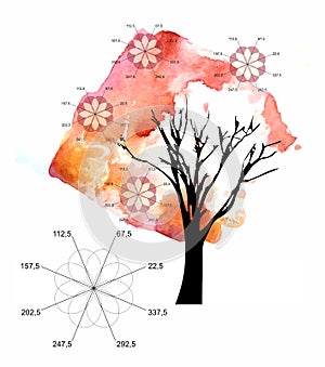 Beautiful autumn tree and flowers in form of algebraic graphs of Roses Grandi on white background. Conceptual illustration
