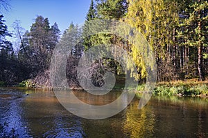 Beautiful autumn trees reflecting on the smooth water surface. Warm autumn day on the river. River bank landscape