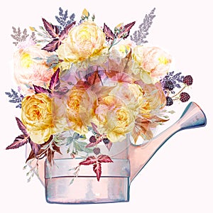 Beautiful autumn vector rose flowers in  water can in watercolor style