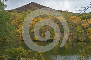 Beautiful Autumn View of Abbott Lake and Sharp Top