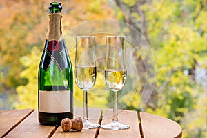 Beautiful autumn view of a champagne bottle with two glasses on a table outdoors.