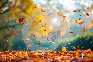 Beautiful autumn view with colorful foliage in the park. Falling leaves background with copy space and selective focus.