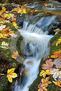 Beautiful autumn waterfall