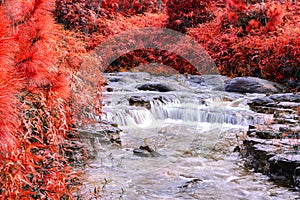 Beautiful autumn waterfall in deep forest