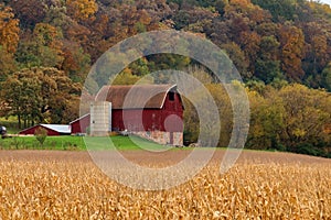 Beautiful autumn Wisconsin nature background.