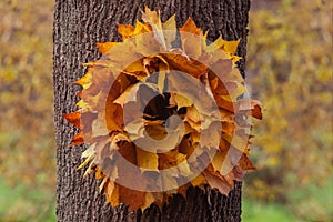 Beautiful autumn wreath on the tree, selective focus, blured fall leaves on background