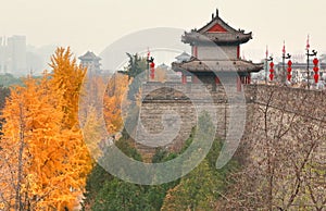 The beautiful autumn in Xian city ,China