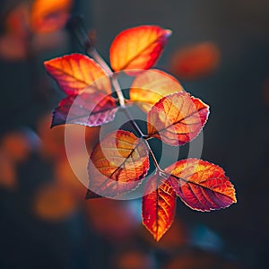 Beautiful autumnal background with colourful leaves generated by artificial intelligence