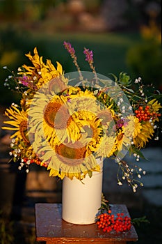 Beautiful autumnal bouquet of bright yellow sunflower flowers in white vase. Autumn still life with garden flowers